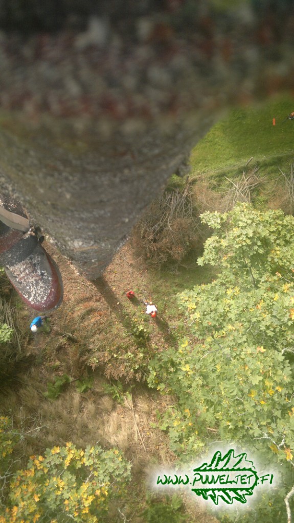 Puunkaato Turku hinta