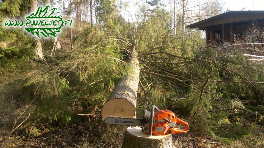 Puunkaato Turku Hinta