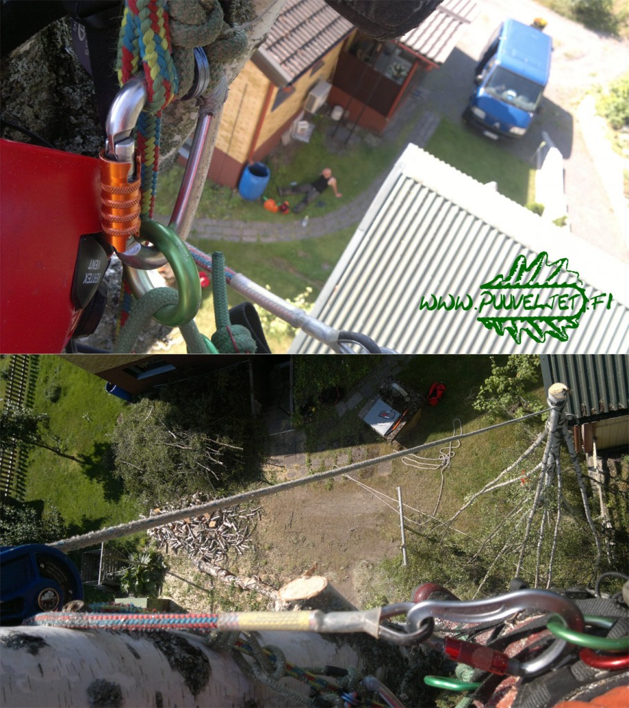 Puunkaato Turku hinta