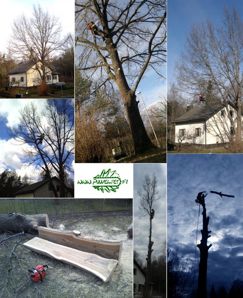 Puunkaato Turku hinta